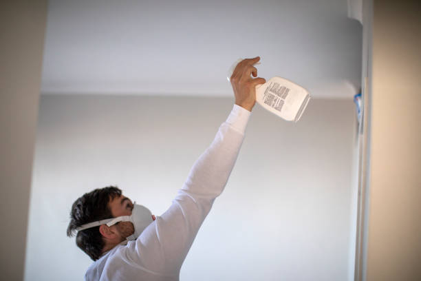 Certified Mold Removal in Oxford, OH