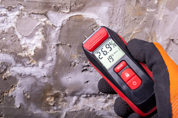 Best Mold Remediation Services  in Oxford, OH