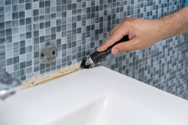 Best Mold Testing  in Oxford, OH