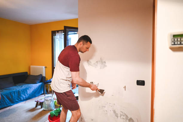 Best Professional Mold Removal  in Oxford, OH